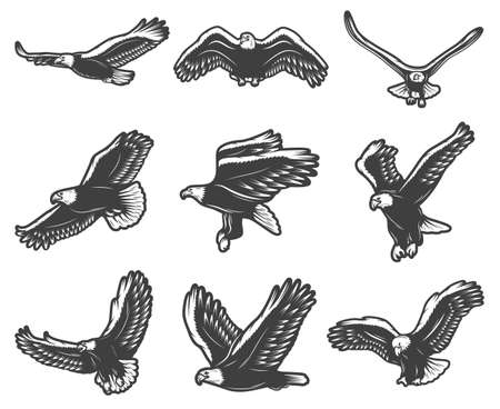 Vintage beautiful flying eagles set in different poses symbolising courage pride and majesty isolated vector illustrationのイラスト素材