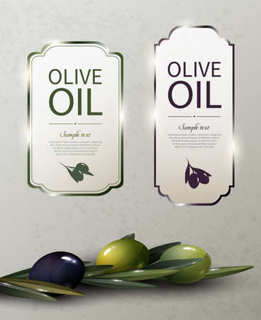 Olive oil glossy brand logos with natural organic green and black olivesのイラスト素材
