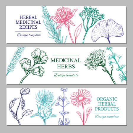 Medicinal herbs horizontal banners with different organic healthy spicesのイラスト素材