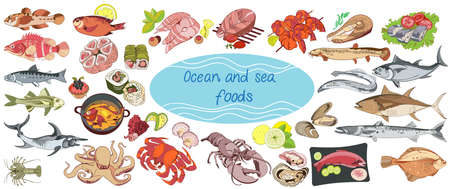Colorful drawing marine food collectionのイラスト素材