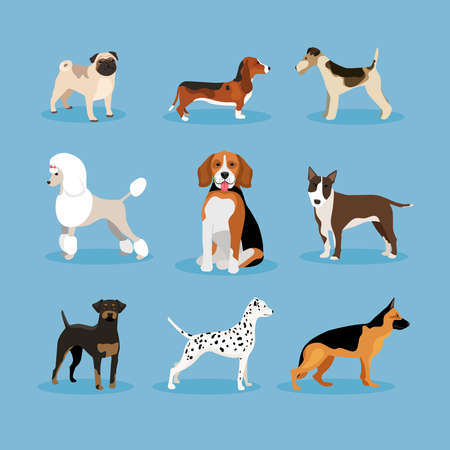 vector icons dogs set isolated on blue backgroundのイラスト素材