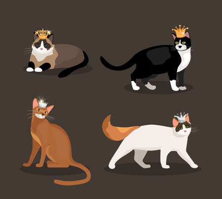 Set of four cats wearing crowns with different colored fur one standing  walking  lying and sitting  vector illustrationのイラスト素材