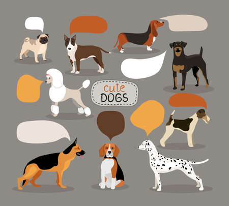 Set of colored vector dog breeds with empty speech bubbles featuring an alsation  pug  bloodhound  rottweiler  beagle  dalmation  poodle  fox terrier and pitbullのイラスト素材