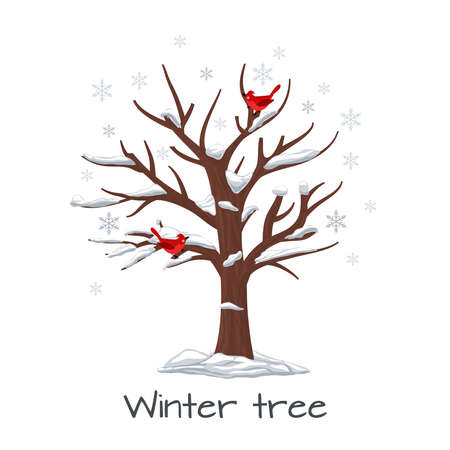 Winter tree with birds. Season nature, snow on wood, snowflake and plant, vector illustrationのイラスト素材