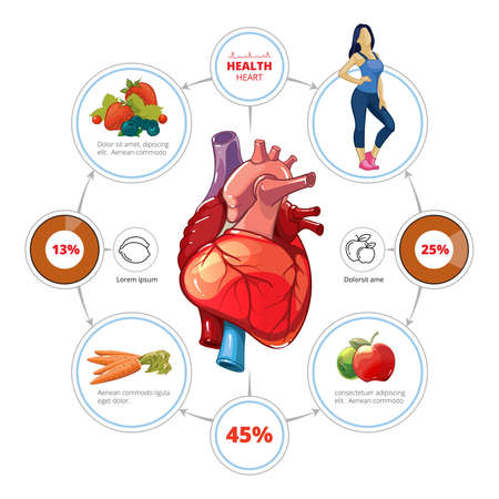 Heart medical vector infographics. Organ and nutrition for healthcare, vegetable and vitamin, fruit illustrationのイラスト素材