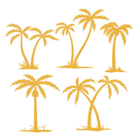 Vector Palm tree Contours isolated on white.のイラスト素材
