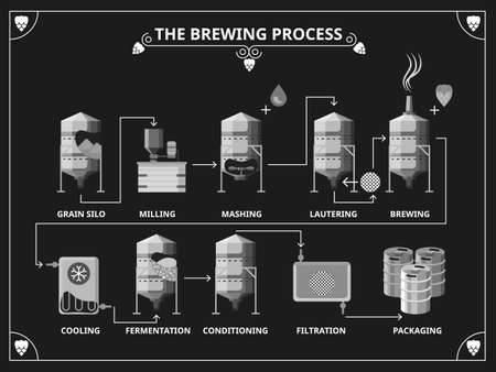 Beer brewing process. Vector beer production infographic set. Order mashing lautering product illustrationのイラスト素材
