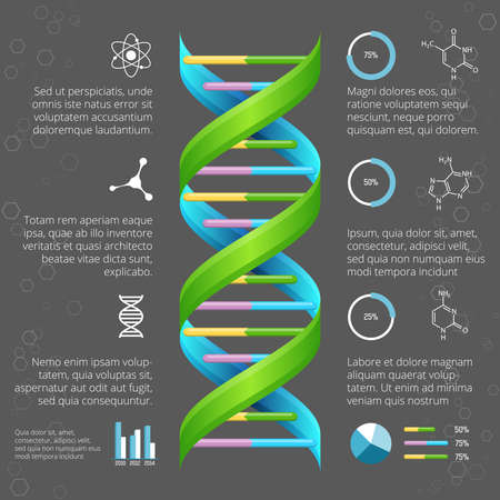 Infographic template with DNA structure for medical and biological research. Genetic health, life evolution, model line helix, vector illustrationのイラスト素材
