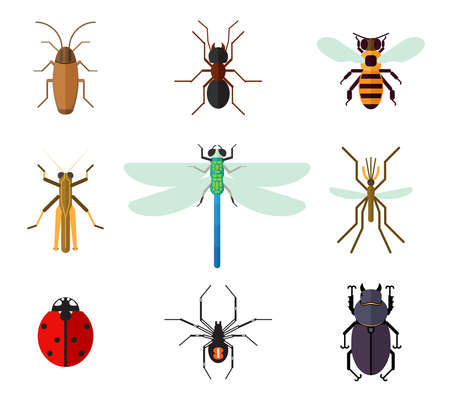 Icon set of insects in flat style. Cockroach ant ladybug bee mosquito dragonfly grasshopper spider beetle, vector illustrationのイラスト素材