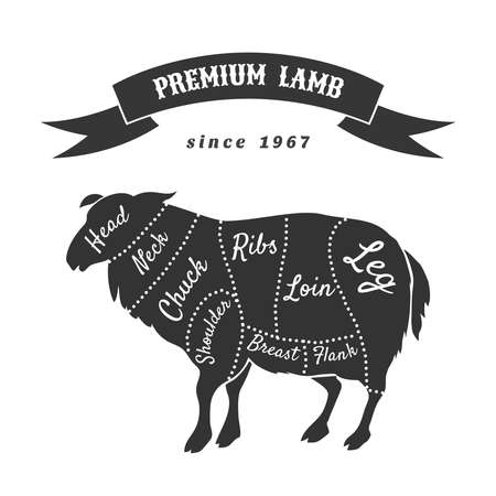 Lamb cuts for butcher shop poster. Animal sheep, loin and butchery, vector illustrationのイラスト素材