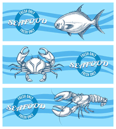 Vector seafood banners set. Restaurant and food, design, fish and cancer illustrationのイラスト素材