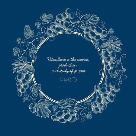 Abstract natural blue vintage poster with inscription in round frame and grapes bunches in sketch style vector illustrationのイラスト素材