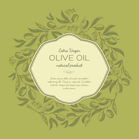 Abstract sketch organic template with text in elegant frame and olives tree branches in vintage style vector illustrationのイラスト素材