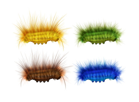 Vector set of different colorful green, yellow, brown, blue furry caterpillars side view isolated on white backgroundのイラスト素材