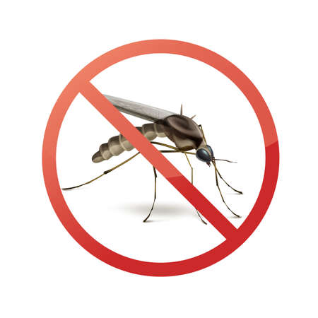Stop prohibit sign on mosquito close up side view isolated on white backgroundのイラスト素材
