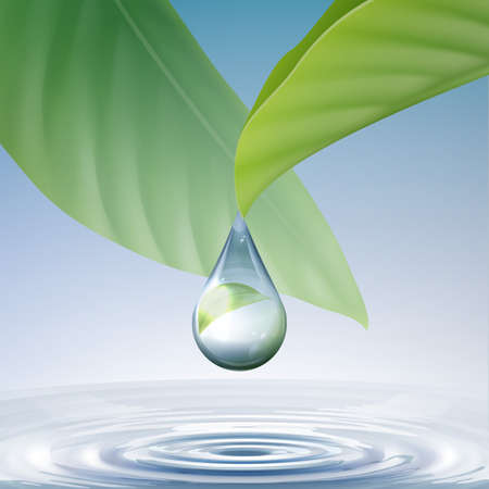 Vector clean shiny blue drop with circles on water and green leaves close up front viewのイラスト素材