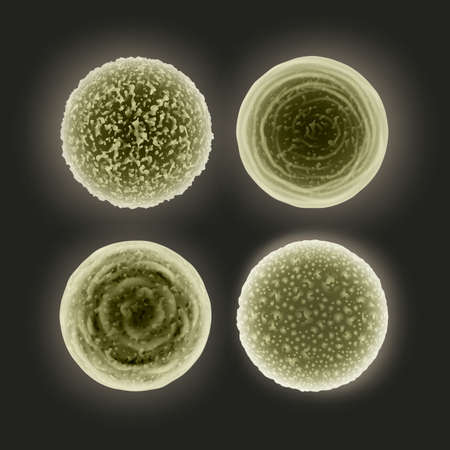 Vector set of abstract dirty green cocci bacteria isolated on dark backgroundのイラスト素材