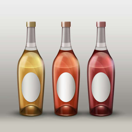Vector set of full colored bottles with empty labels front view isolated on gradient backgroundのイラスト素材