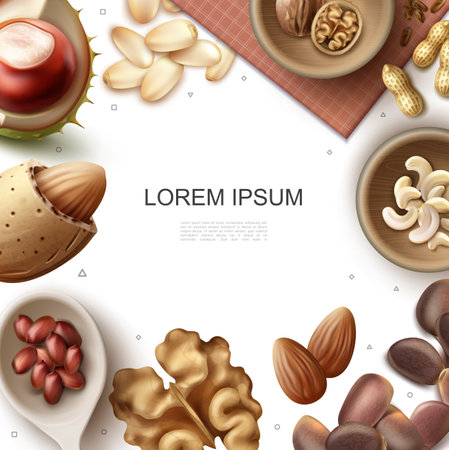 Realistic fresh nuts template with walnut chestnut cashew almond peanut hazelnut brazil pine nuts vector illustrationのイラスト素材
