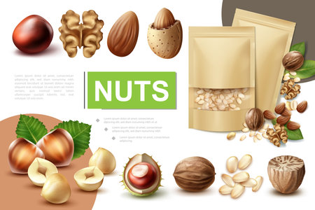 Realistic healthy nuts composition with walnut hazelnut macadamia nutmeg almond chestnut and packages of pine nuts vector illustrationのイラスト素材
