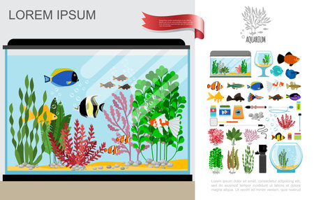 Flat beautiful aquarium composition with bright fishes cleaning equipment food corals seaweed thermometer lamp and stones vector illustrationのイラスト素材