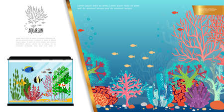 Flat aquarium bright composition with exotic colorful fishes seaweed stones and corals vector illustrationのイラスト素材
