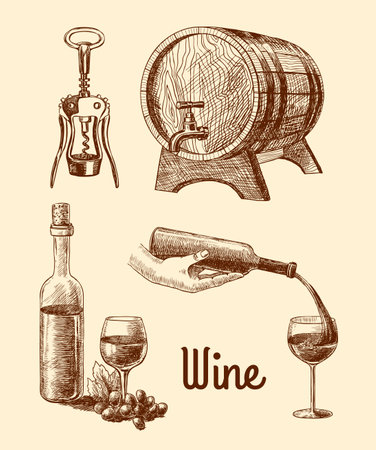 Wine vintage sketch decorative icons set of corkscrew barrel bottle isolated vector illustrationのイラスト素材