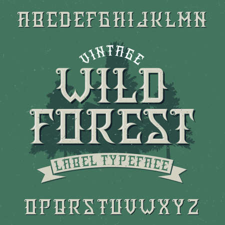 Vintage label typeface named Wild Forest. Good font to use in any vintage labelsのイラスト素材