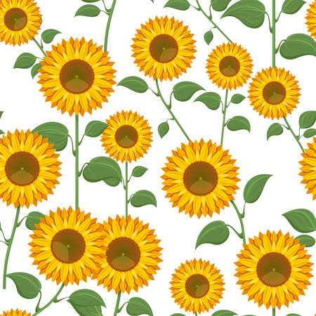 Sunflowers on white background. Sunflower with green leaves seamless pattern vector illustrationのイラスト素材
