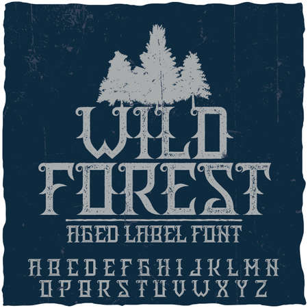 Vintage label typeface named Wild Forest. Good font to use in any vintage labels .のイラスト素材