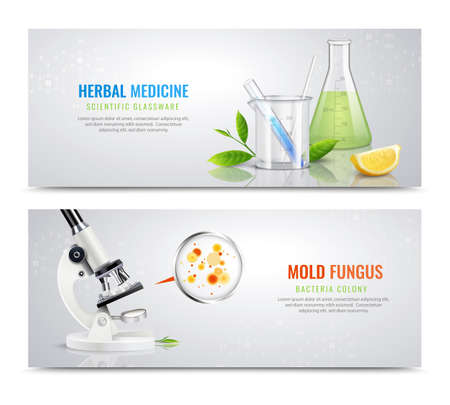 Mold fungus bacteria horizontal banners with realistic images of herbs microscope and colony spots with text vector illustrationのイラスト素材