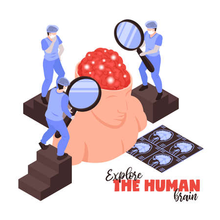 Neurologists with magnifying glasses research human brain anatomy functions diseases pathology treatments isometric symbolic composition vector illustrationのイラスト素材