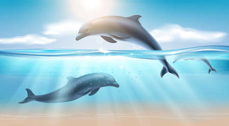 Nautical realistic background with jumping dolphin in sea water illuminated by sunlight vector illustrationのイラスト素材