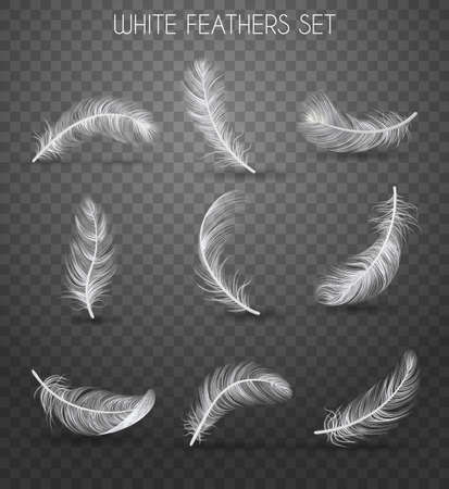 Realistic feather transparent set with white feathers set headline soft and light concept vector illustrationのイラスト素材