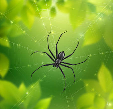 Spider on web realistic composition with blurry nature background with leaves and spiderweb with hanging insect vector illustrationのイラスト素材