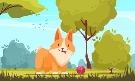 Pets growth stages with outdoor park landscape trees and ball on grass with character of puppy vector illustrationのイラスト素材
