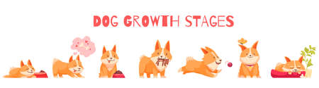 Dog growth stages composition with set of isolated cartoon style characters of puppy with editable text vector illustrationのイラスト素材