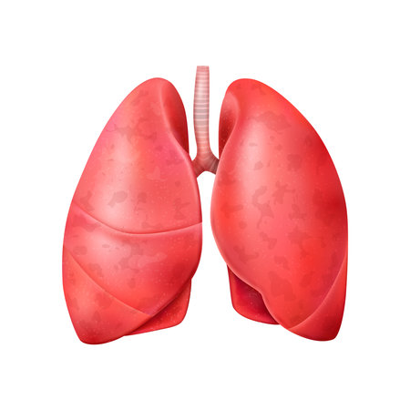 Realistic world pneumonia day composition with isolated image of healthy human lungs vector illustrationのイラスト素材