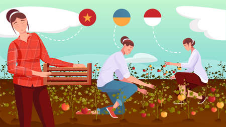 Female migrant workers from different countries gathering crops on field flat vector illustrationのイラスト素材