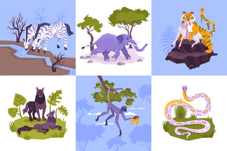 Set of square compositions with flat characters of rainforest plants and tropical animals with snakes predators vector illustrationのイラスト素材