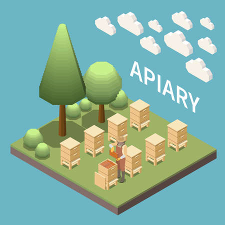 Apiary isometric background with rows of beehives standing on lawn near trees vector illustrationのイラスト素材