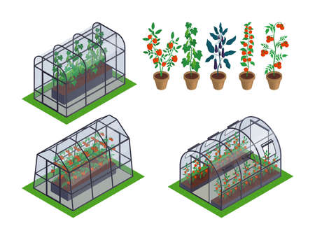 Isometric greenhouse vegetables icon set different types of greenhouses with different microclimates inside specifically for plants vector illustrationのイラスト素材