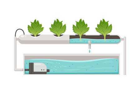 Greenhouse vertical farming hydroponics aeroponics cartoon composition with plants in tube bath vector illustrationのイラスト素材