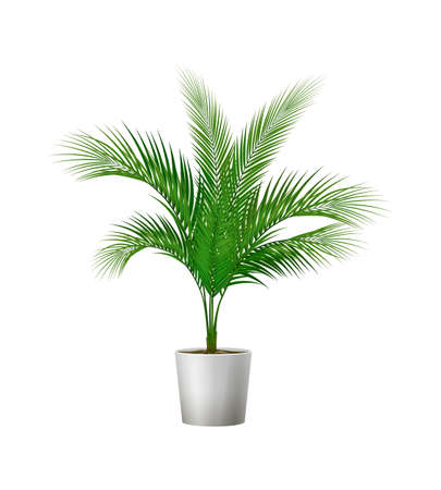 Green potted plant for room interior realistic vector illustrationのイラスト素材