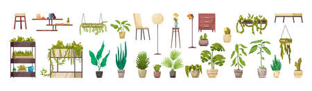 Home decorative deciduous green plants in pots and planters horizontal set isolated vector illustrationのイラスト素材