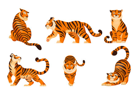 Flat set of cute tigers in various poses isolated on white background vector illustrationのイラスト素材
