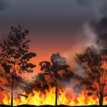 Forest fire realistic background with with burning trees smoke and red glow in night sky vector illustrationのイラスト素材