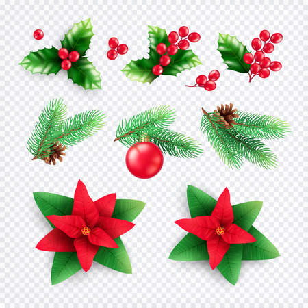 Christmas decorations plants set of realistic icons on transparent background with fir needle cones and flowers vector illustrationのイラスト素材