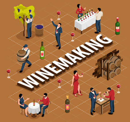Wine isometric flowchart with wine drinking and shop symbols vector illustrationのイラスト素材