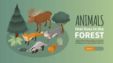 Isometric forest animal horizontal banner with animals and plants on round platform editable text and button vector illustrationのイラスト素材